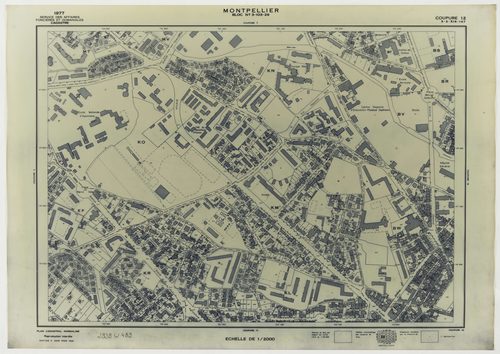 Montpellier
