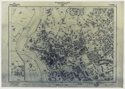 Montpellier