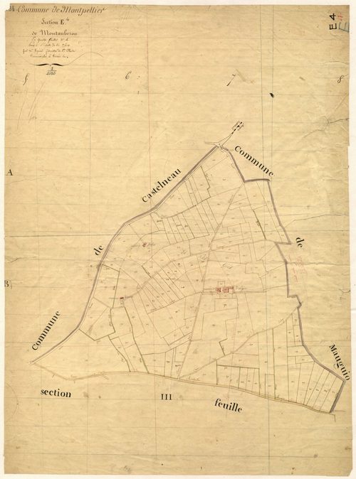 Montpellier