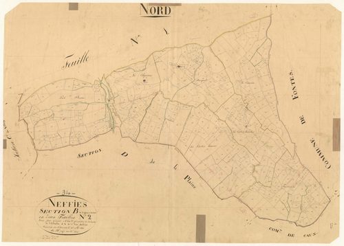 Neffiès