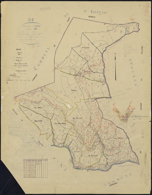 Rosis