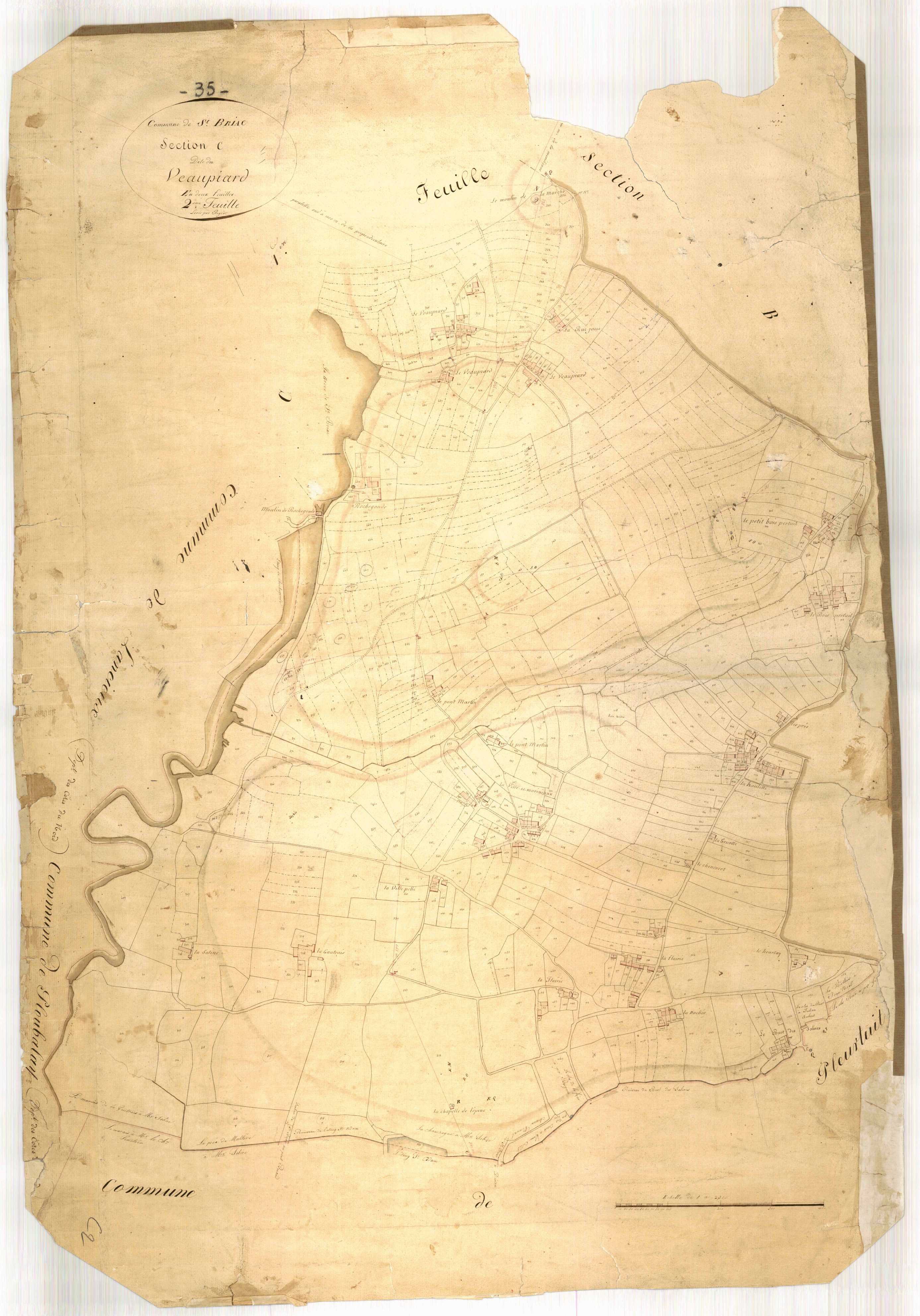 3P 256 007