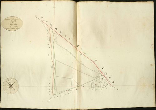 Anjouin - Section B1, dite du Chêne Blanc.