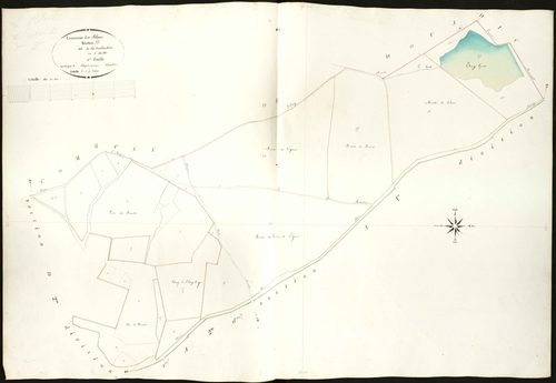 Blanc - Section D1, dite de la Coulaudière.