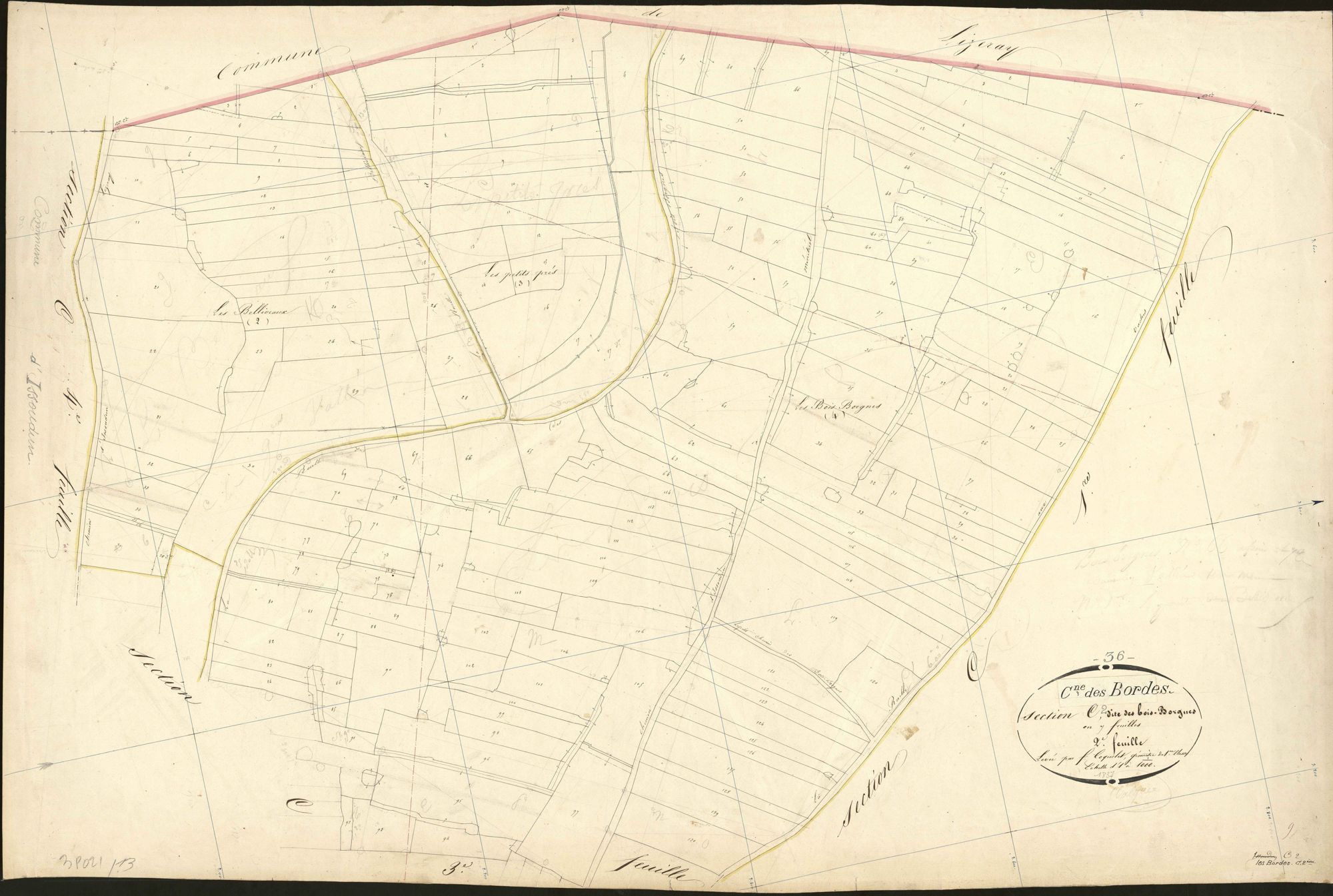 Bordes - Section C2, ancienne section dite Bois Borgnes d'Issoudun (C2).
