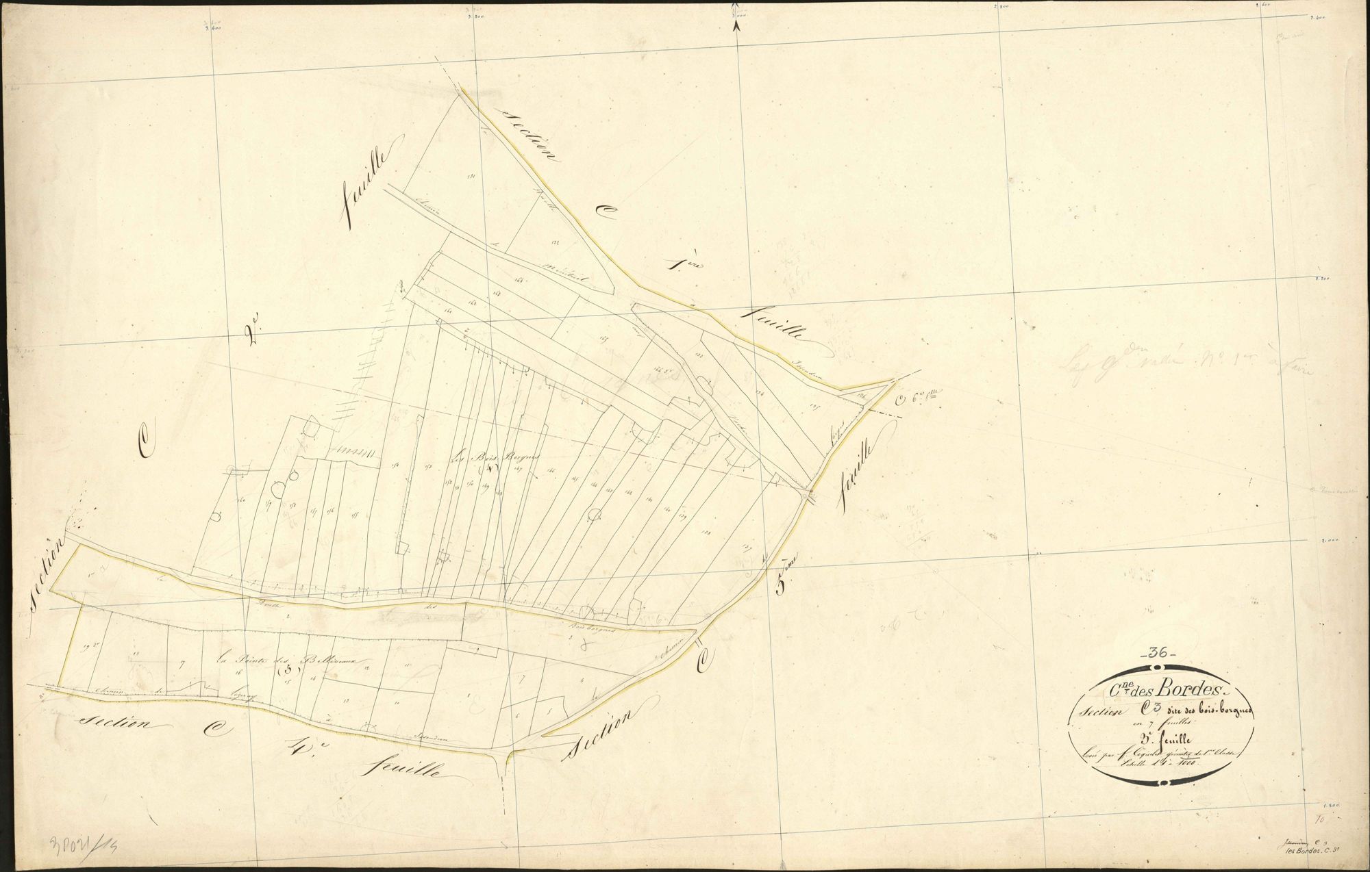Bordes - Section C3, ancienne section dite Bois Borgnes d'Issoudun (C5).