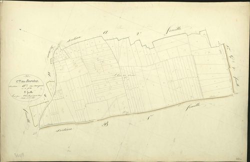 Bordes - Section A3, ancienne section dite des Davignons d' Issoudun.