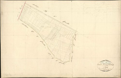 Bordes - Section C1, ancienne section dite Bois Borgnes d'Issoudun (C1).