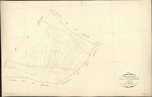 Bordes - Section C3, ancienne section dite Bois Borgnes d'Issoudun (C5).