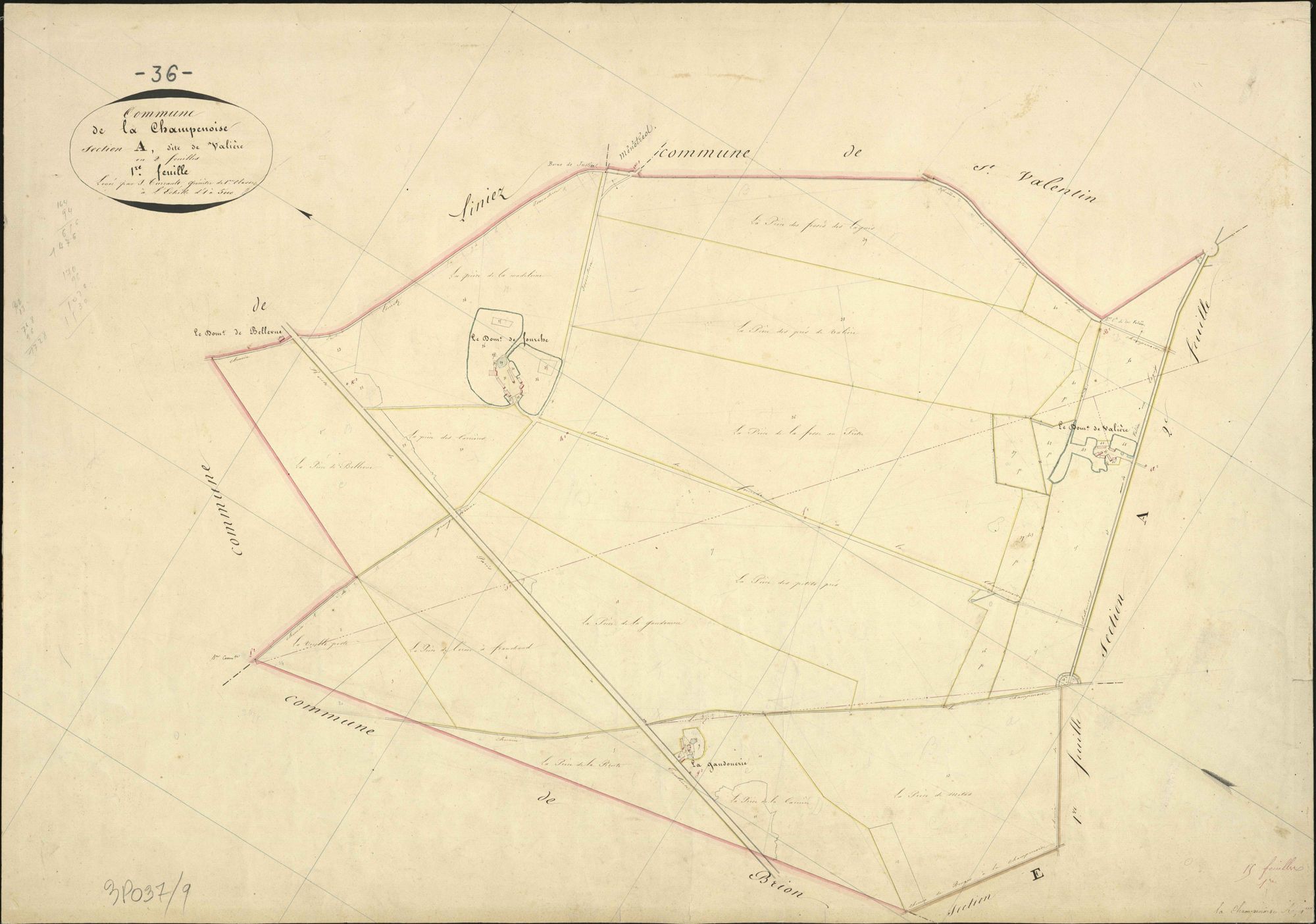 Champenoise - Section A1, dite de Valière.