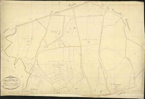 Chasseneuil - Section B1, dite des Ligeards.