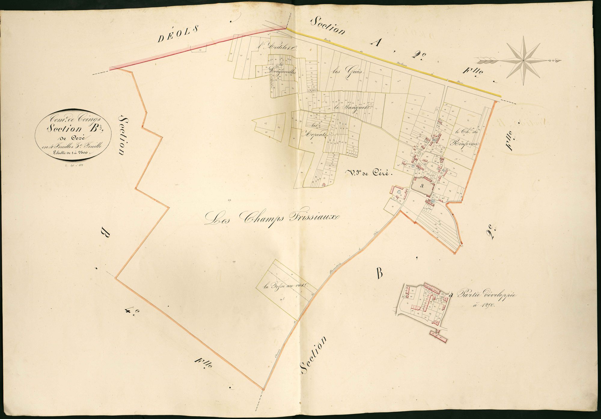 Coings - Section B3, dite de Céré.