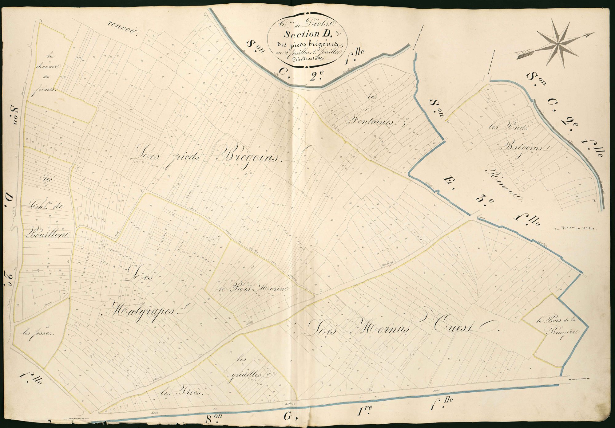 Déols - Section D1, dite des Pieds Brégoins.