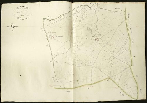 Faverolles - Section C7, dite des Bois.