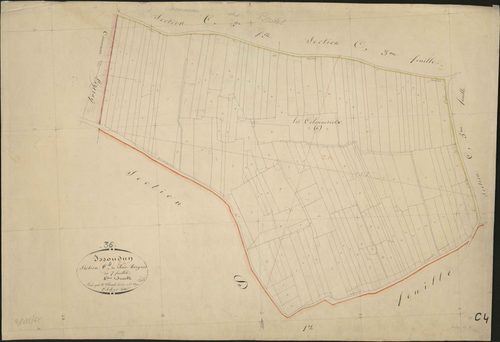 Issoudun - Section C4, dite des Bois Borgnes.