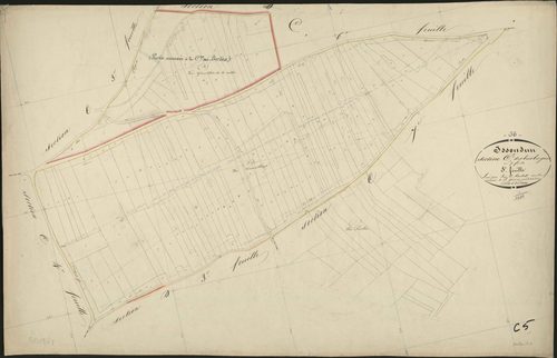 Issoudun - Section C5, dite des Bois Borgnes.