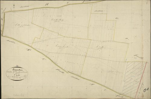 Issoudun - Section O1, dite des Plantes Lourdault.