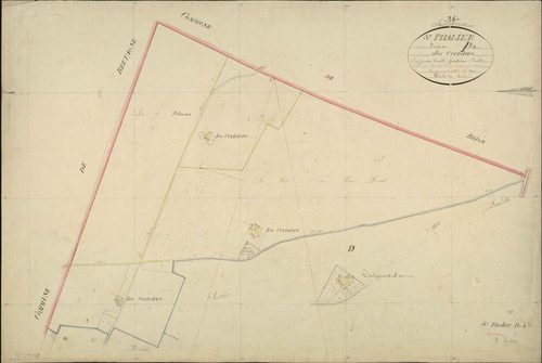 Levroux - Section P4, dite des Cerisiers (ancienne section D4 de Saint-Phallier).
