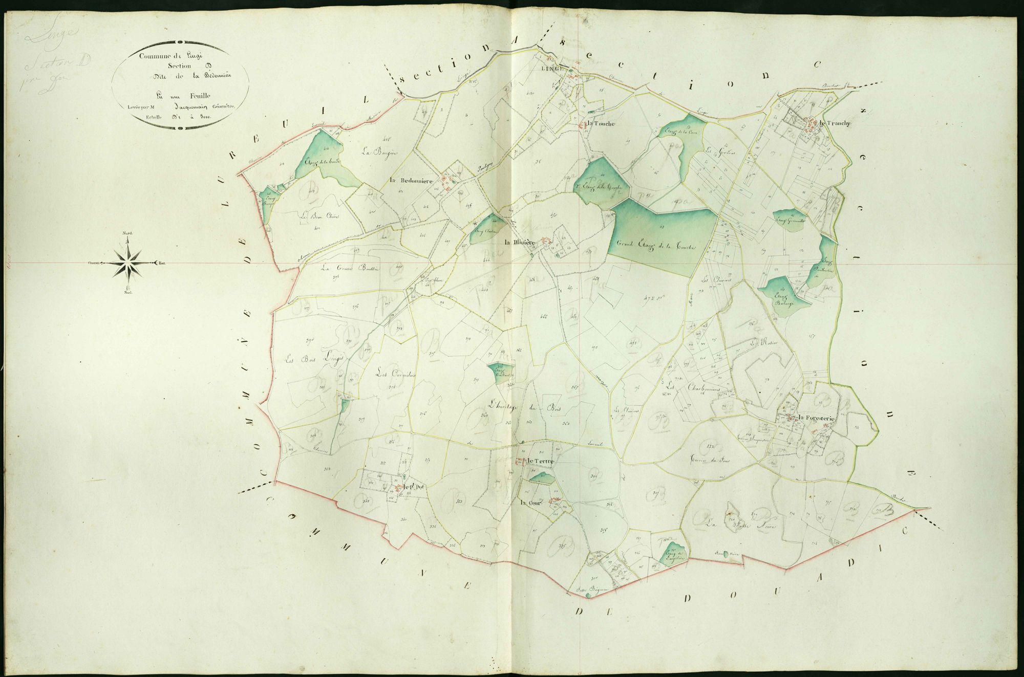 Lingé - Section D, dite de la Bedonnière.