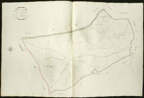 Luçay-le-Mâle - Section C8, dite de l'Allemandière.