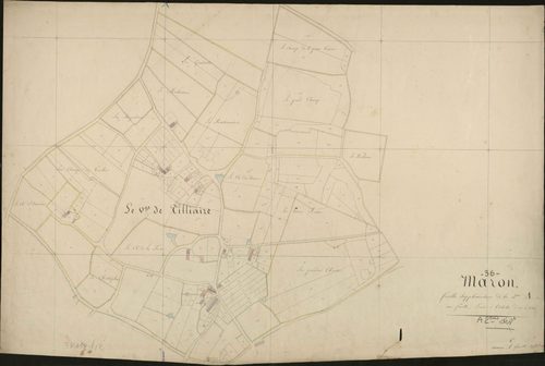 Mâron - Section A, feuille supplémentaire (le Grand Tilliaire).