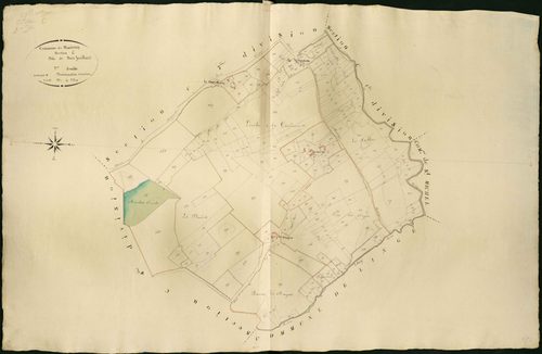Martizay - Section C2, dite de Bois feuillard.
