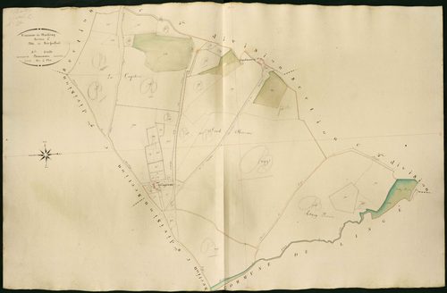 Martizay - Section C4, dite de Bois feuillard.