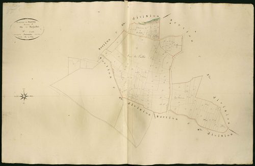 Martizay - Section C5, dite de Bois feuillard.