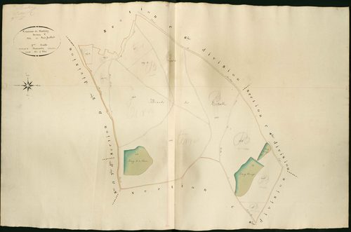 Martizay - Section C7, dite de Bois feuillard.