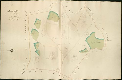 Martizay - Section C8, dite de Bois feuillard.