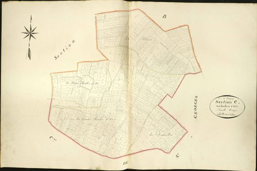 Migny - Section C, dite des Barbes d'Or.