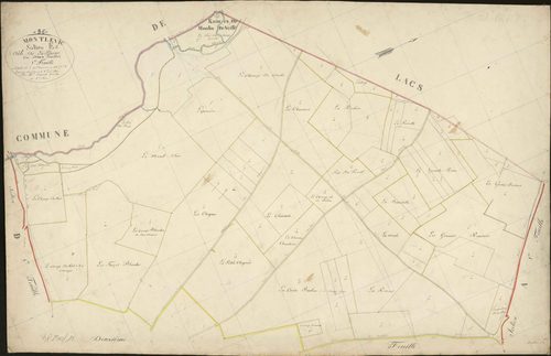 Montlevicq - Section E1, djte de la Plaine.