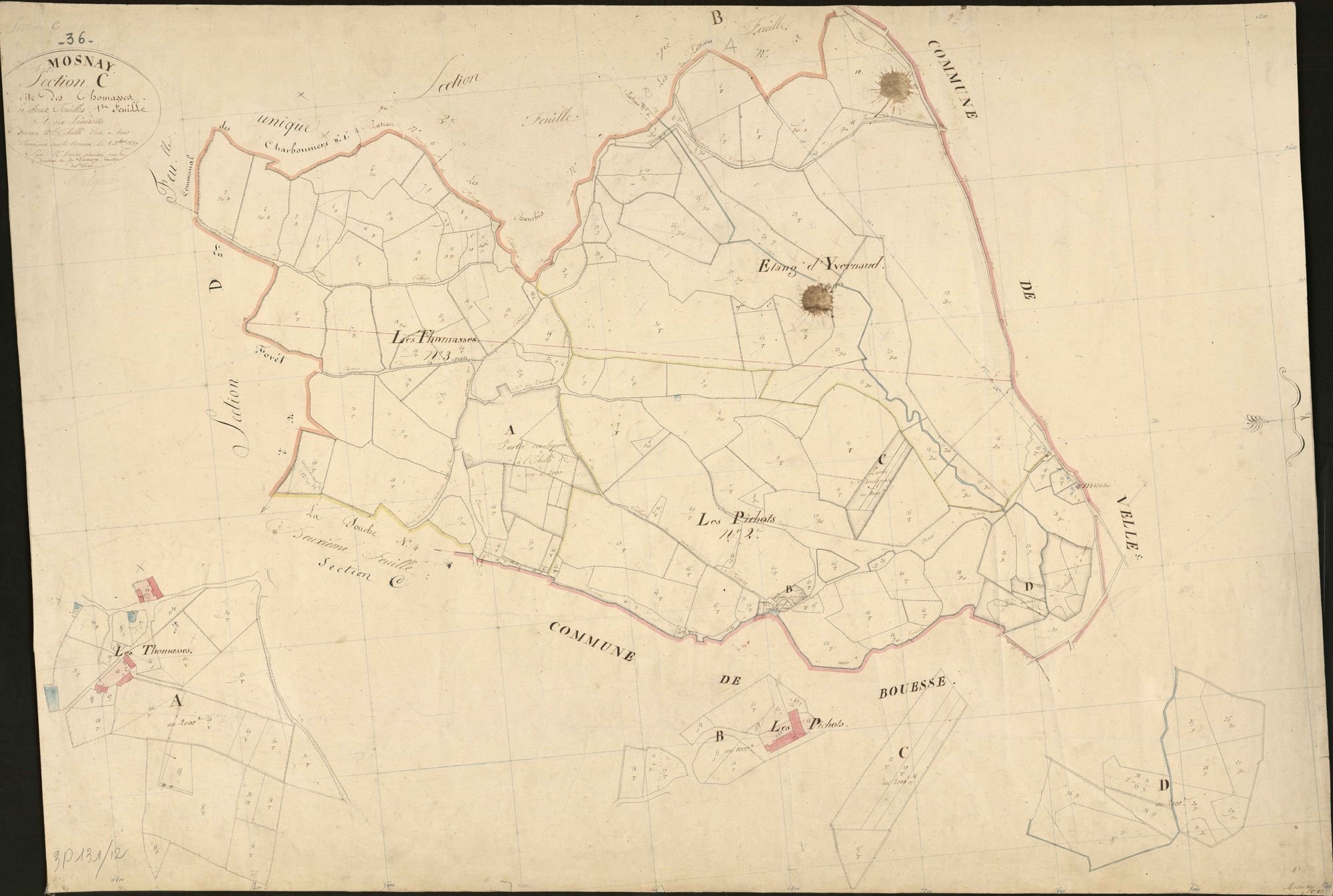 Mosnay - Section C1, dite des Thomasses.