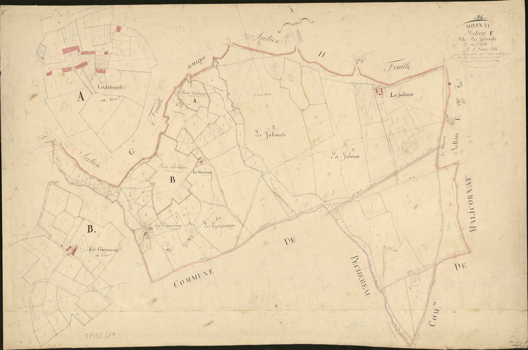 Mosnay - Section F, dite des Jabenots.