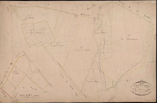 Neuvy-Pailloux - Section F, dite du Bornet.