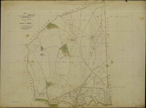 Palluau-sur-Indre - Section J, dite des Bois de Paray (ancienne section C de Villebernin).