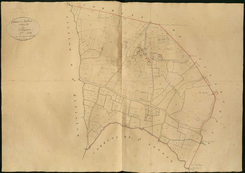 Palluau-sur-Indre - Section D1, dite de Villegours.