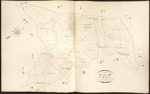 Pellevoisin - Section B1, dite de la Biaiserie.
