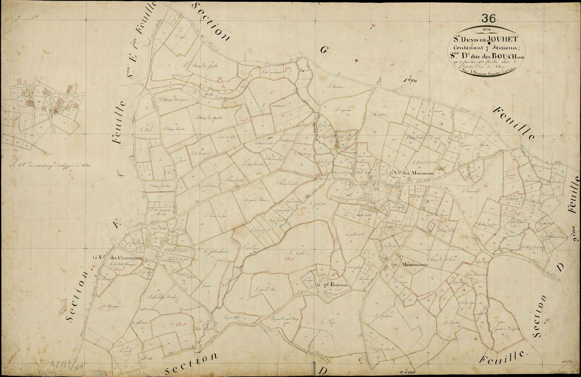 Saint-Denis-de-Jouhet - Section D1, dite des Bouchauds.