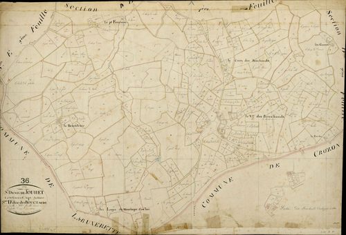 Saint-Denis-de-Jouhet - Section D3, dite des Bouchauds.