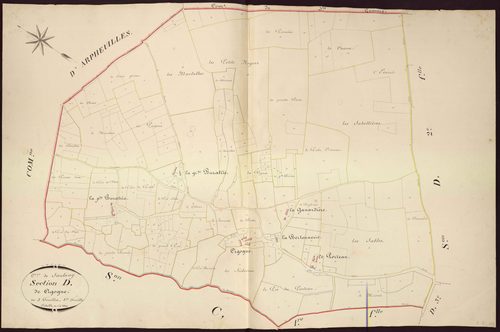 Saulnay - Section D1, dite de Cigogne.