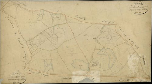 Tendu - Section L, dite du Champs du Guignier, et section M, dite de la Feuillée.