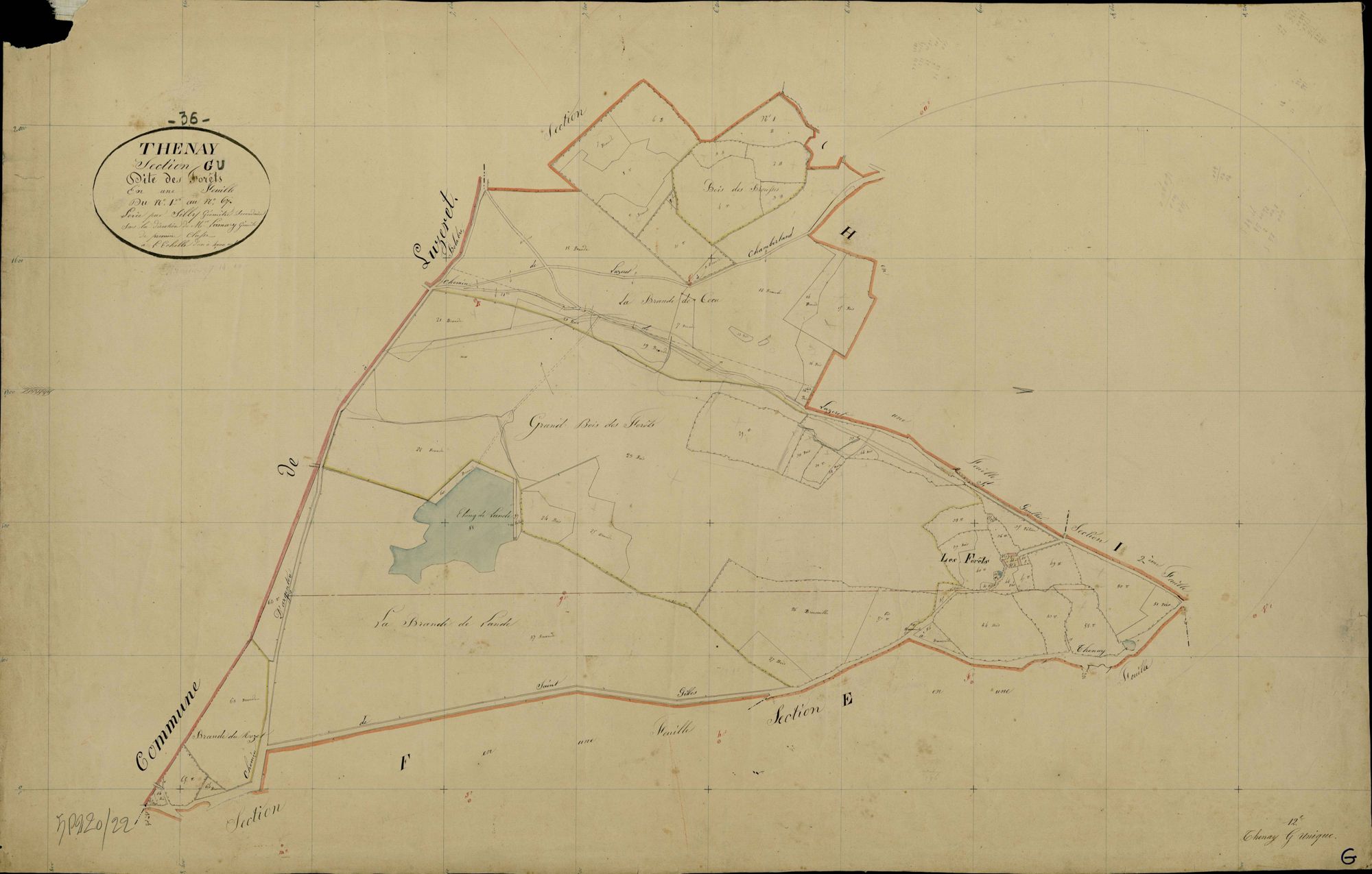 Thenay - Section G, dite des Forêts.