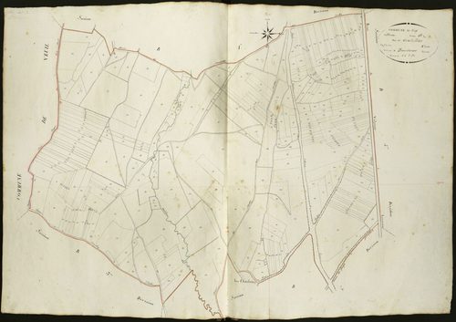 Vicq-sur-Nahon - Section B2, dite des Mardellettes.