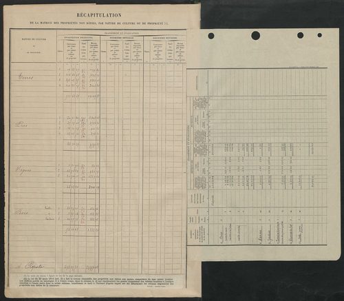 Tableau présentant les augmentations et les diminutions survenues dans la matière imposable ; récapitulation ; table alphabétique des propriétaires ; matrice des propriétés non bâties, fol. 1 à 492.