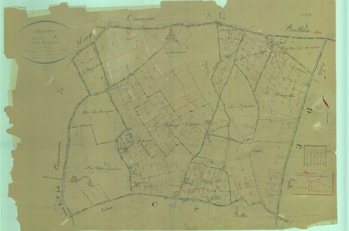 Section A