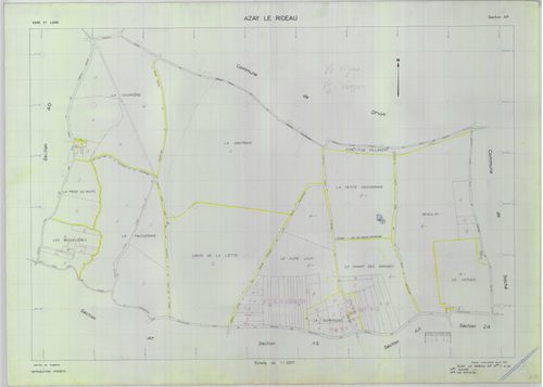 Section AP