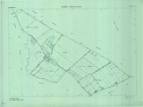 Section YM