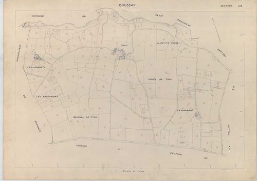 Section AB