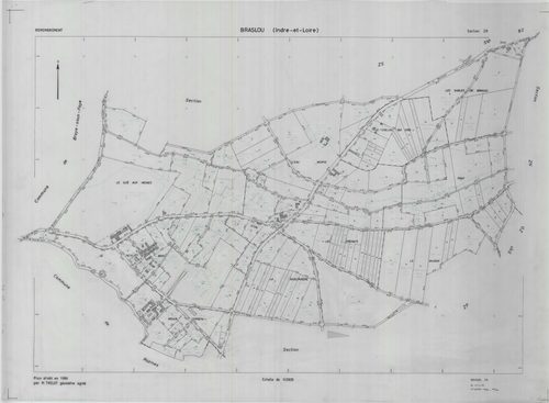 Section ZR